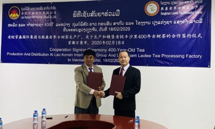 老挝丰沙里省胜康老李古树茶生产厂独家总代理签约仪式